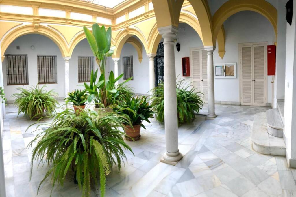 Gatu Villa Palma, Aire Acc Y Confort En El Centro Historico, " Preferente Mayores De 25 Anos Y Familias " Эль-Пуэрто-де-Санта-Мария Экстерьер фото