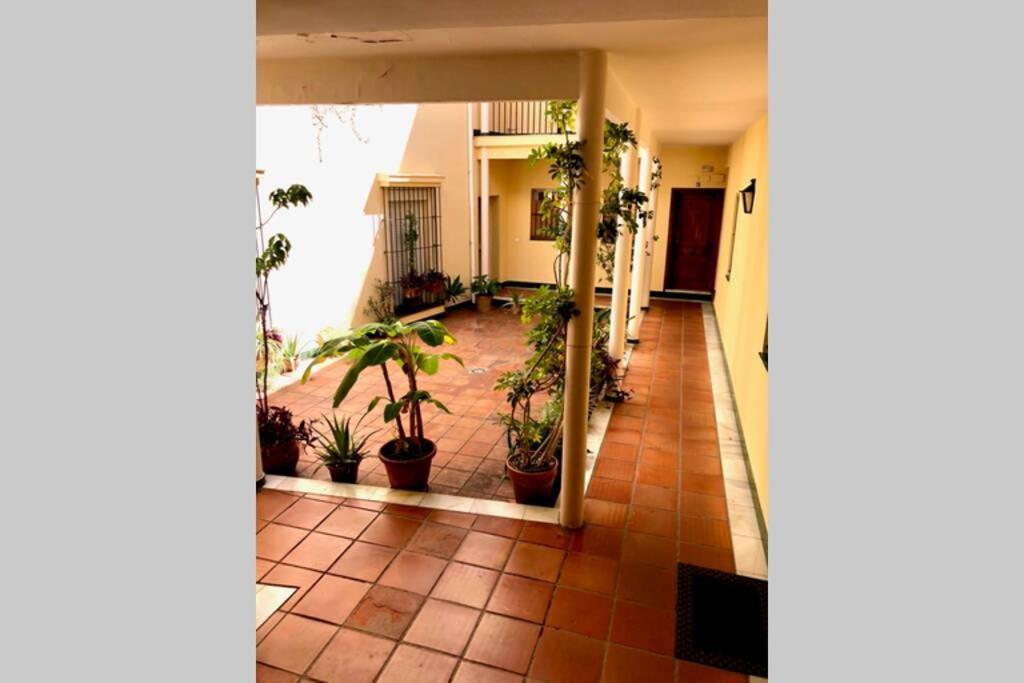 Gatu Villa Palma, Aire Acc Y Confort En El Centro Historico, " Preferente Mayores De 25 Anos Y Familias " Эль-Пуэрто-де-Санта-Мария Экстерьер фото